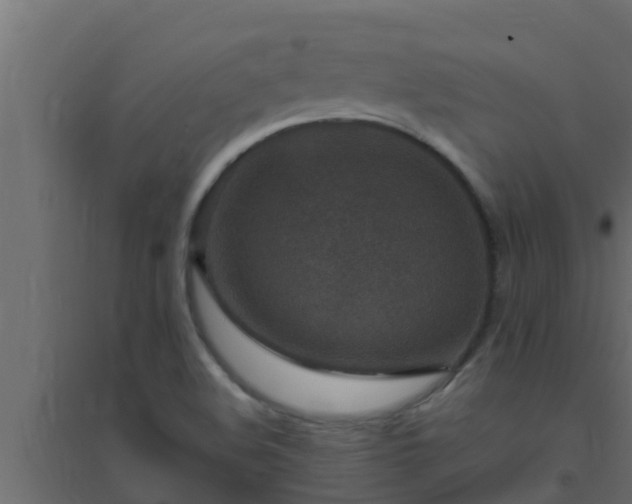 X0000094821508200711241456