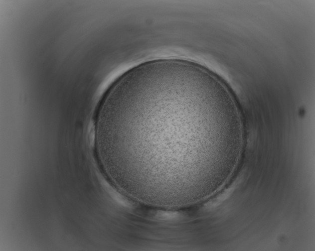 X0000094821509200711241456