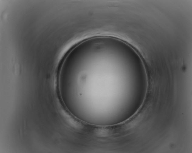X0000094821511200711241456