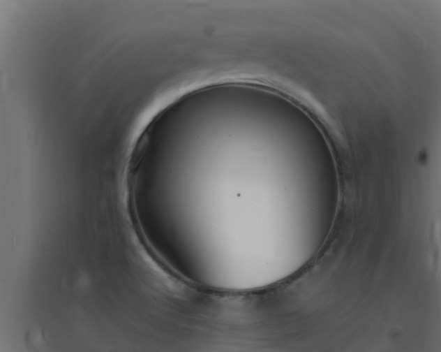 X0000094821512200711241456