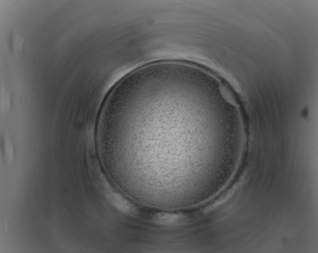 X0000094821513200711241456