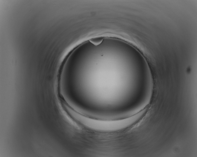 X0000094821518200711241457
