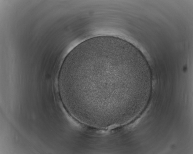 X0000094821521200711241457