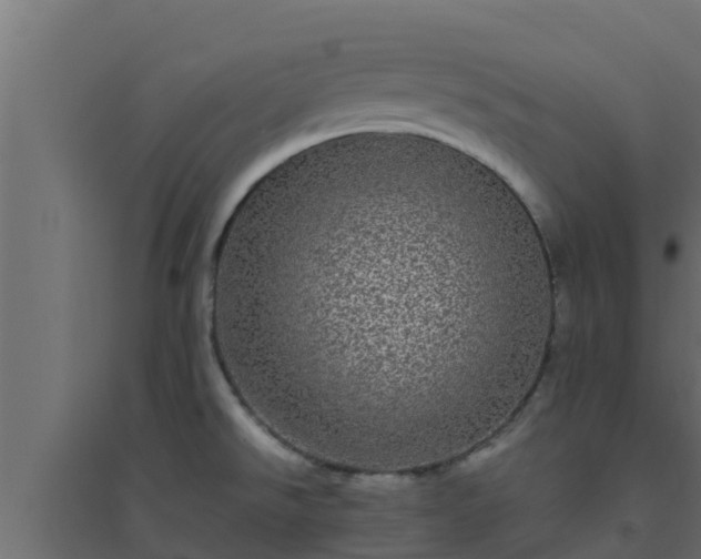 X0000094821526200711241457