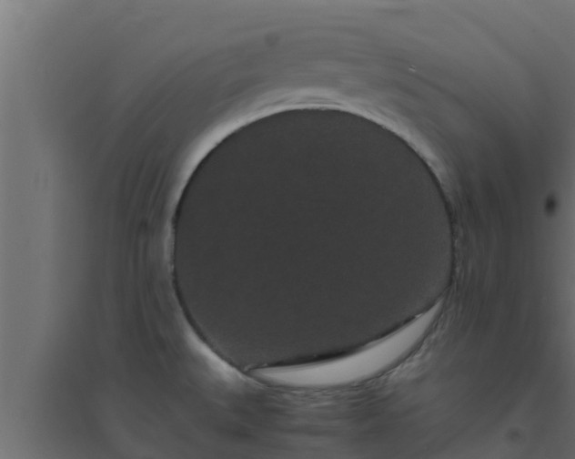 X0000094821527200711241457