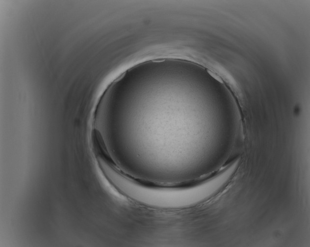 X0000094821528200711241457
