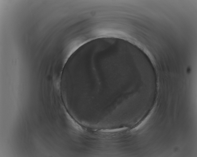X0000094821529200711241457