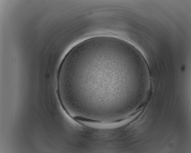X0000094821531200711241457