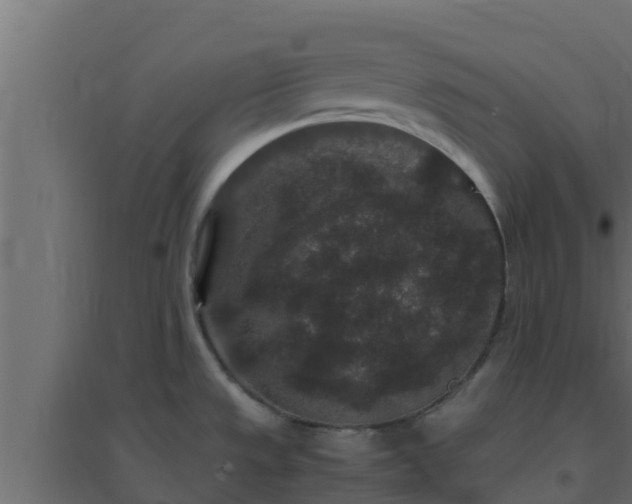 X0000094821533200711241457