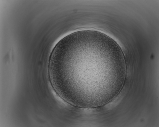 X0000094821534200711241457