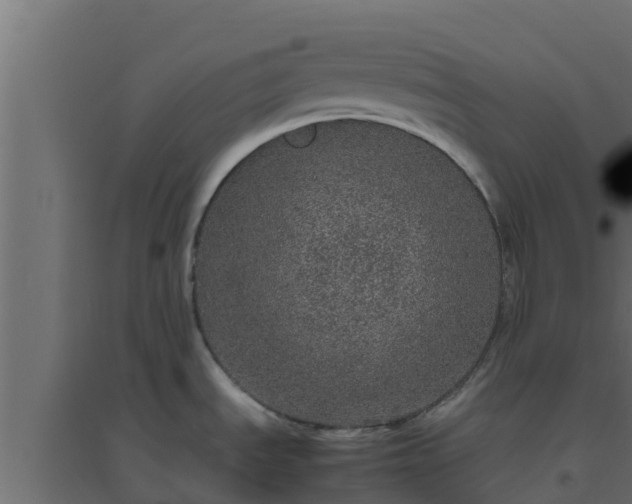 X0000094821535200711241457