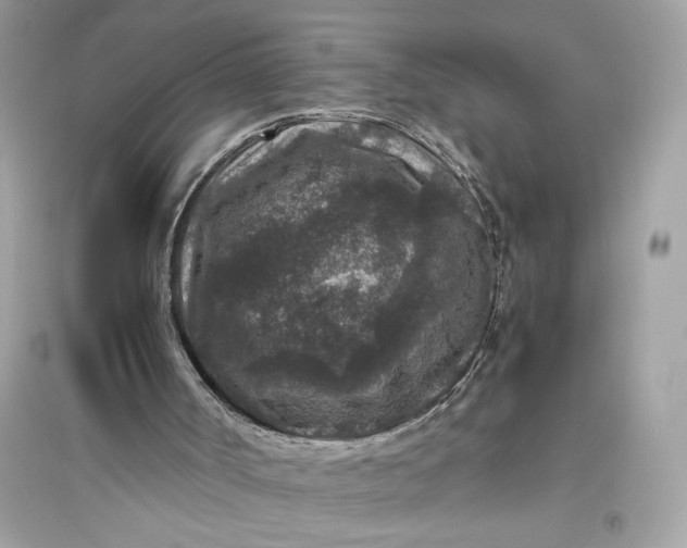 X0000094820002200711301640