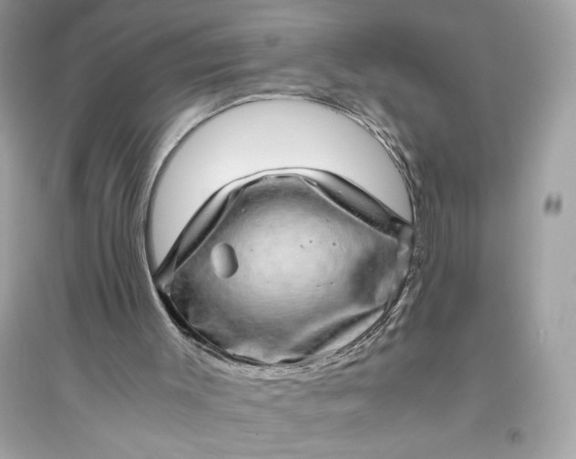 X0000094820003200711301640