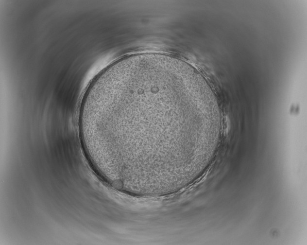 X0000094820004200711301640