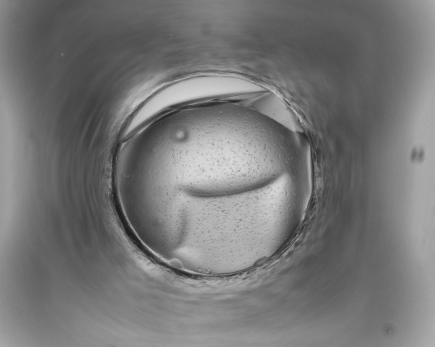 X0000094820005200711301640