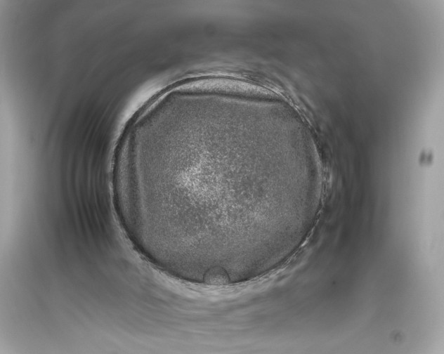 X0000094820006200711301640