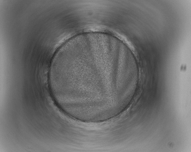 X0000094820010200711301640