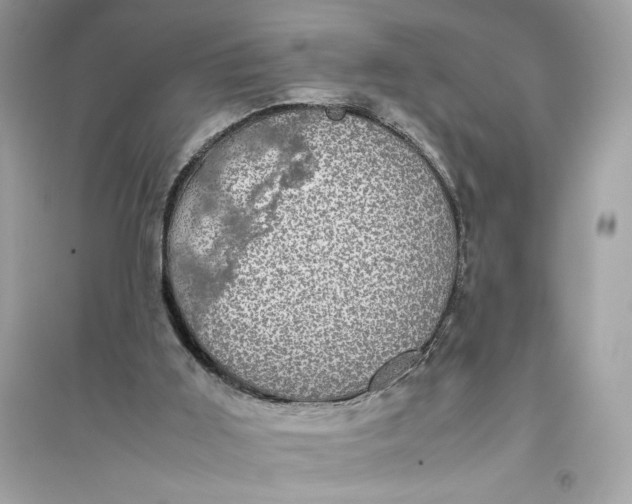 X0000094820011200711301640