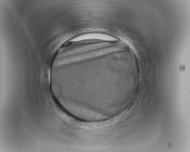 X0000094820013200711301640