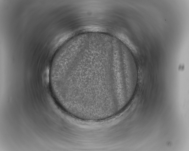 X0000094820014200711301640