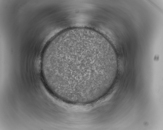 X0000094820016200711301640