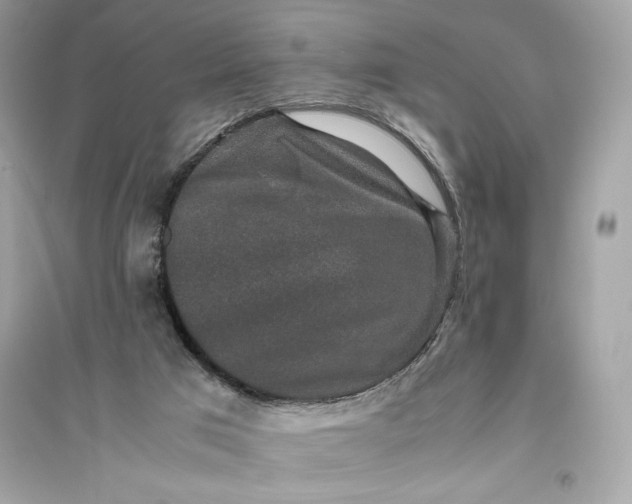 X0000094820017200711301640