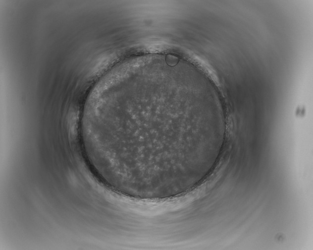 X0000094820018200711301640