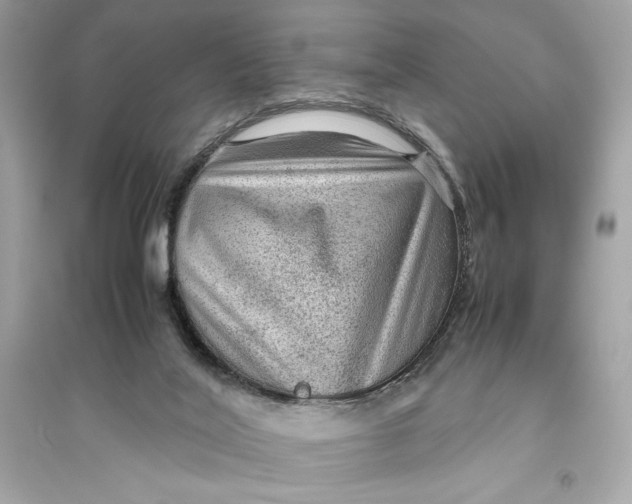 X0000094820020200711301639