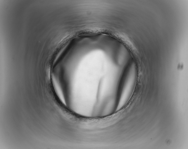 X0000094820021200711301639