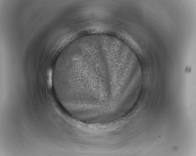 X0000094820022200711301639