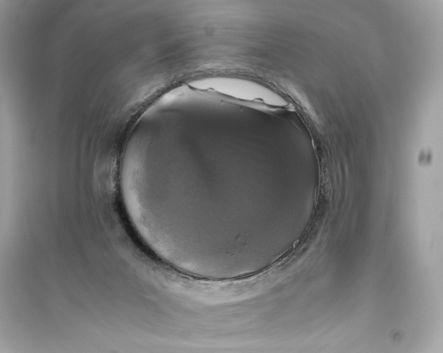 X0000094820023200711301639