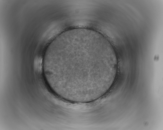 X0000094820024200711301639