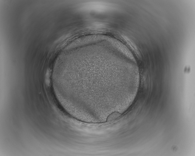 X0000094820026200711301639