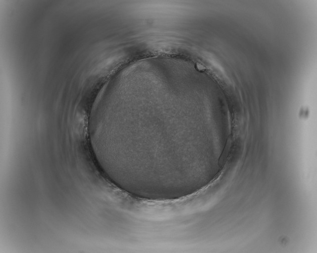 X0000094820029200711301639