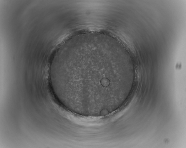 X0000094820032200711301639