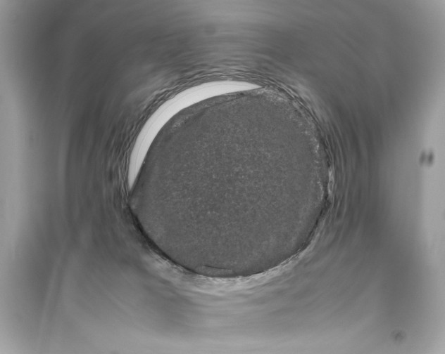 X0000094820037200711301639