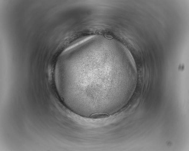 X0000094820038200711301639