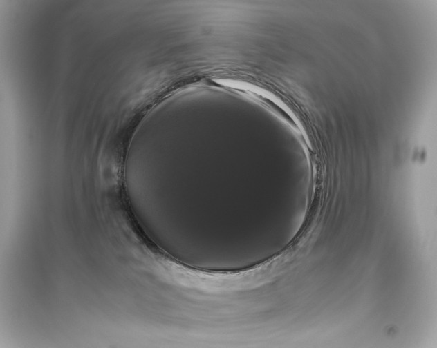 X0000094820039200711301639