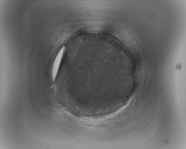 X0000094820041200711301639