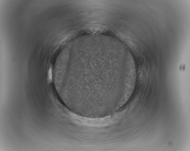 X0000094820042200711301639