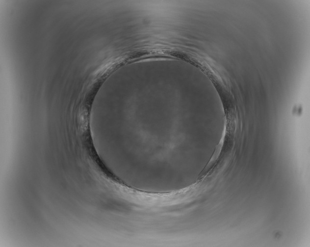 X0000094820043200711301639