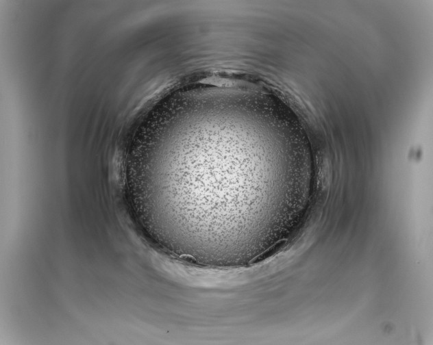 X0000094820044200711301639