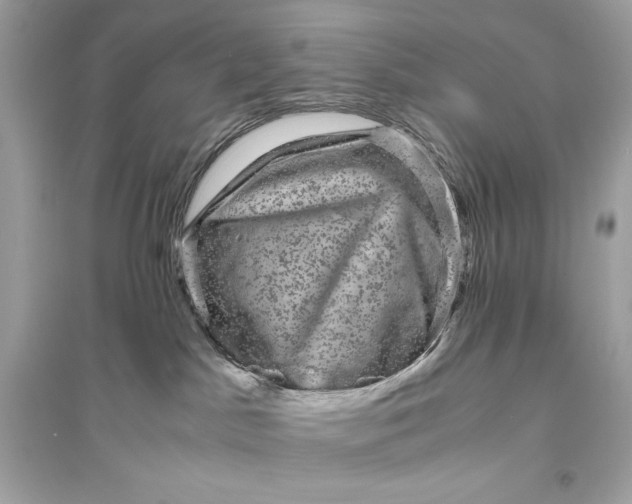 X0000094820045200711301639