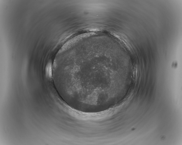 X0000094820046200711301639