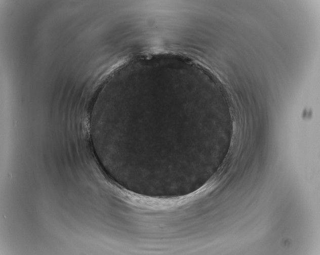 X0000094820048200711301639