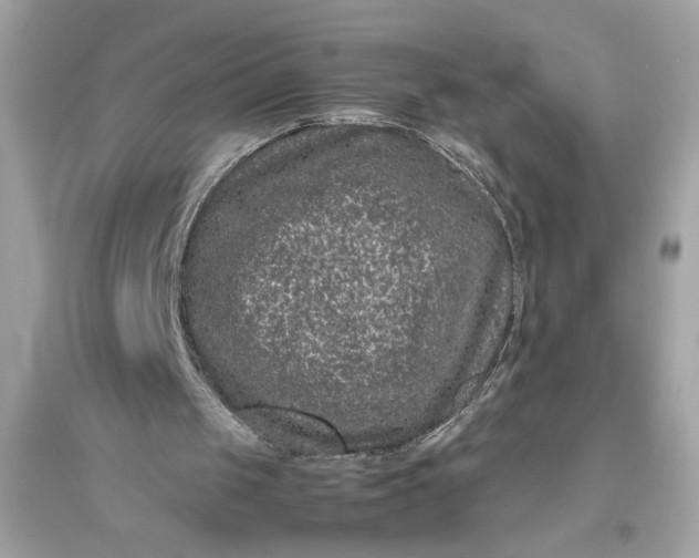 X0000094820049200711301638