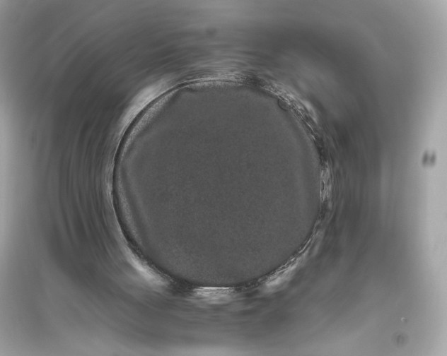 X0000094820051200711301638