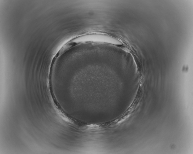 X0000094820052200711301638