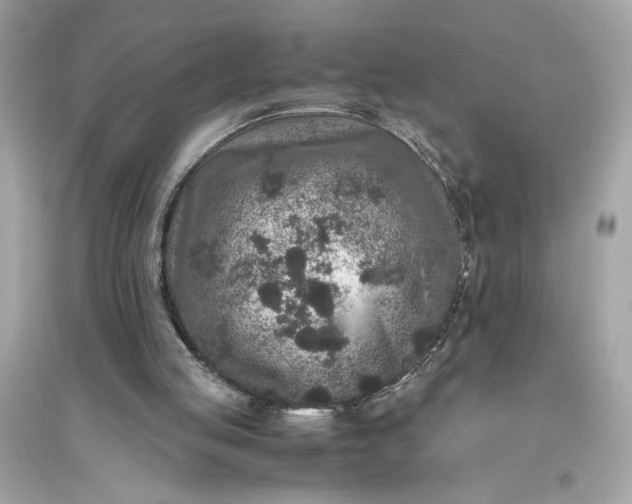 X0000094820053200711301638