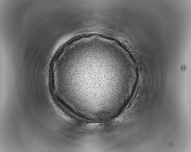 X0000094820054200711301639